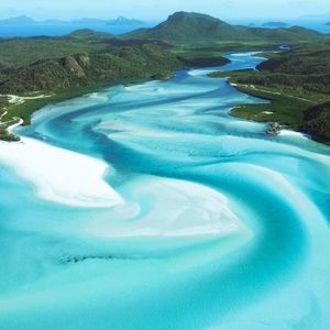 Meet your Posher, Shelby